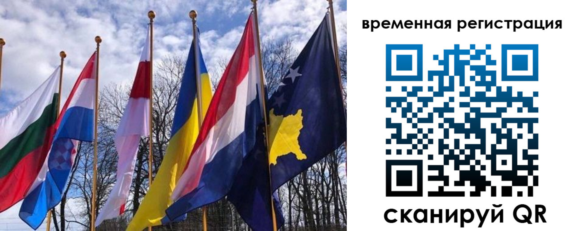 прописка гарантия в Всеволожске
